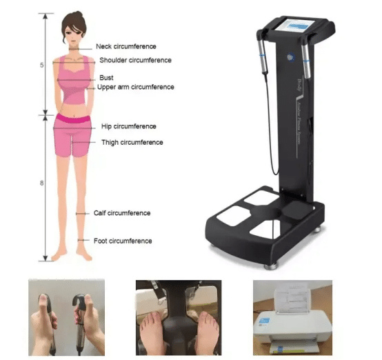 Body analysis machine application